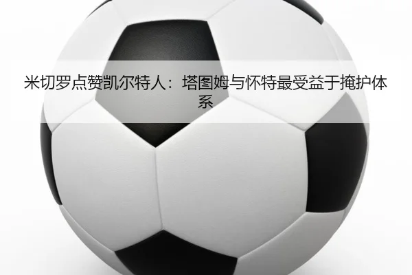 米切罗点赞凯尔特人：塔图姆与怀特最受益于掩护体系 - JIUYOUSPORTS
